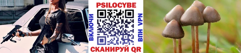 Псилоцибиновые грибы ЛСД  мориарти какой сайт  Ржев  купить  цена 
