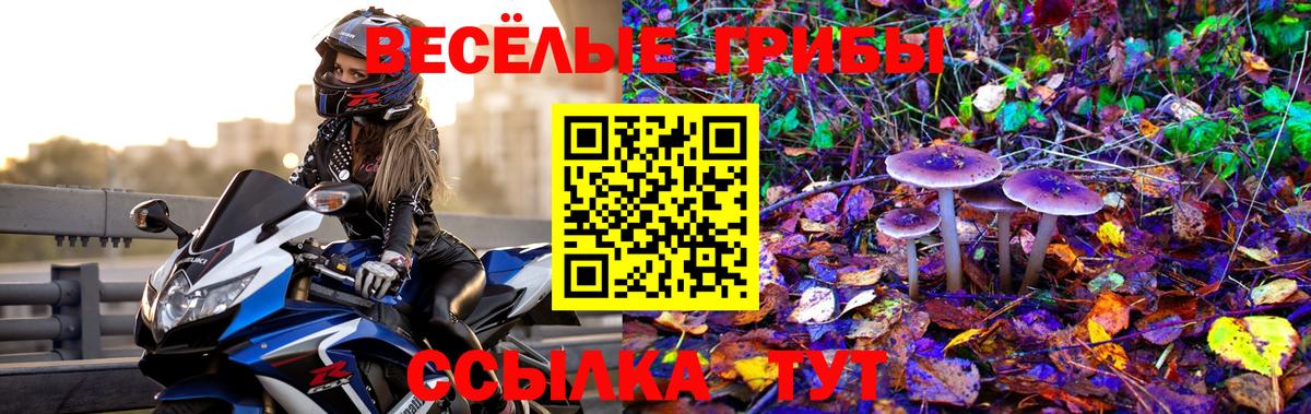 Псилоцибиновые грибы мухоморы Ржев